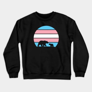 Save Trans Kids Crewneck Sweatshirt